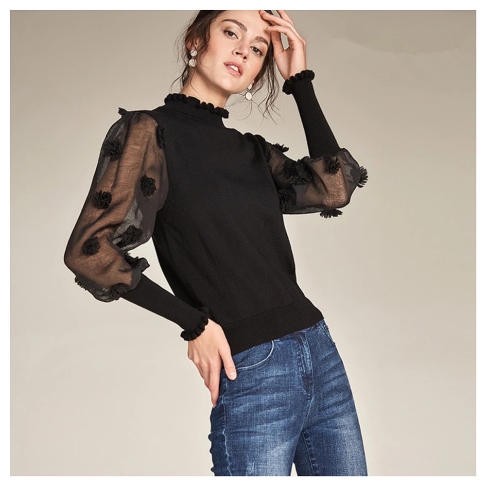 Sheer Textured Sleeve Knit Sweater Top - Picture 3 of 8